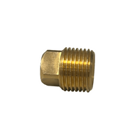 Z2738 Plug voor stop dubbele bodem RIB